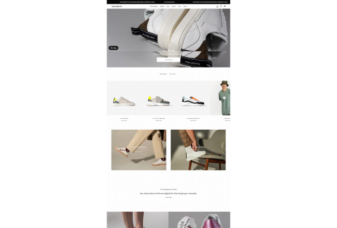 develop a shopify website, shopify store, dropshipping store